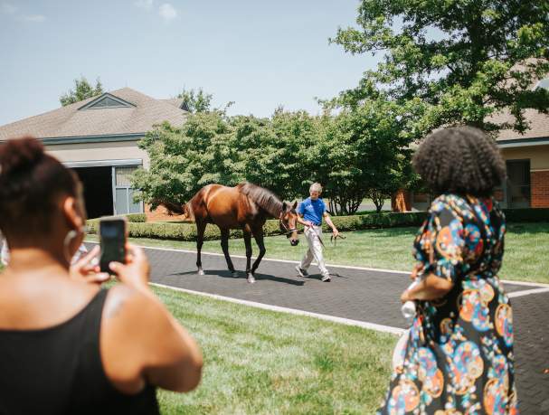 Top 13 Things to Do in Lexington, Kentucky