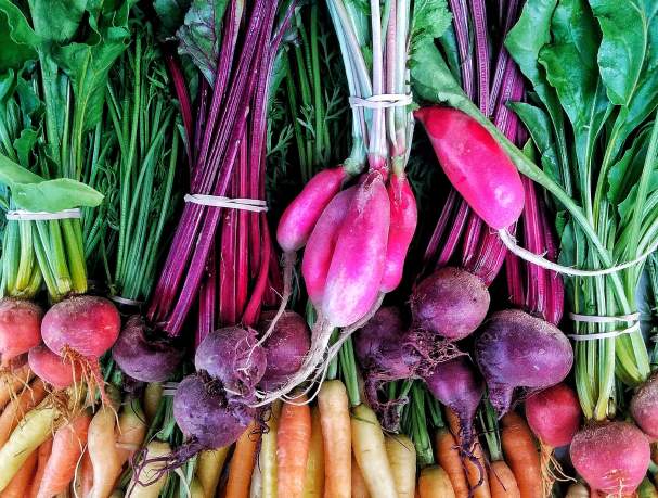 radishes at the farmers market