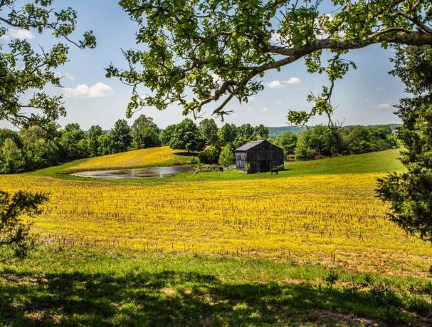 agriculture