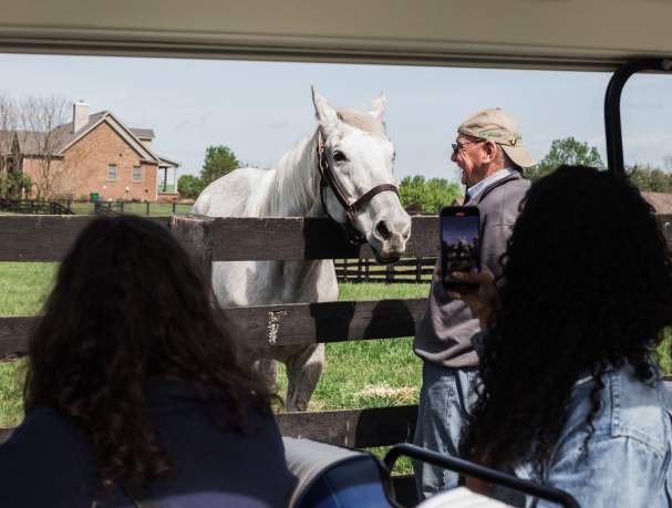 Old Friends at Dream Chase Farm