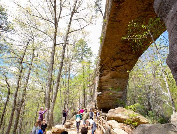 Red River Gorge Geological Area