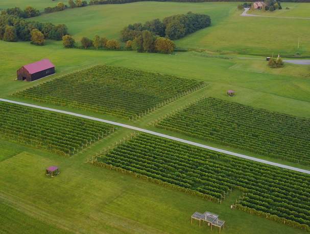 Talon Winery & Vineyards