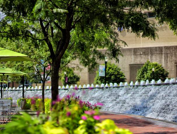 Triangle Park