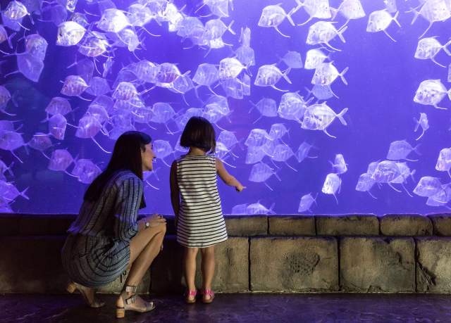 Audubon Aquarium