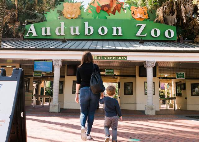 Walking into the Audubon Zoo