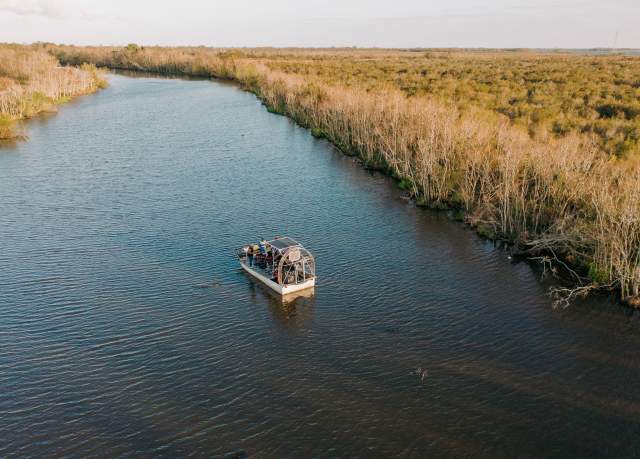 Airboat Swamp Tour