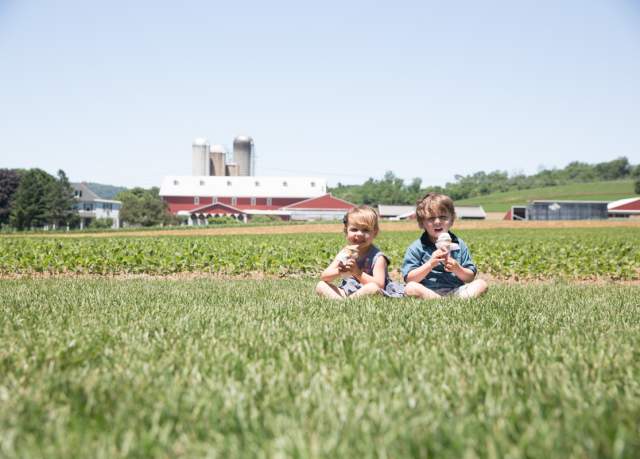 Two children sit in the grass on a farm eating cones of ice cream