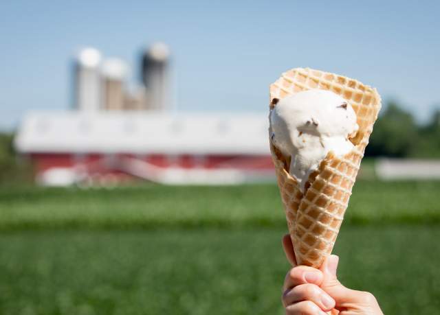 ice cream