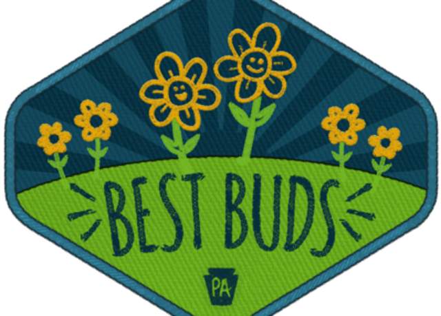 Best Buds patch