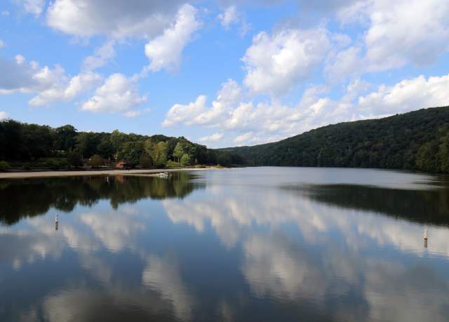 A lake with trees around it on a sunny day