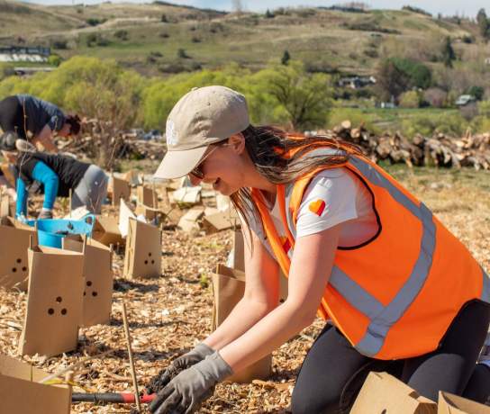 Volunteers helping plant thousands of native trees at Love Queenstown's Lake Hayes Tourism Planting Day