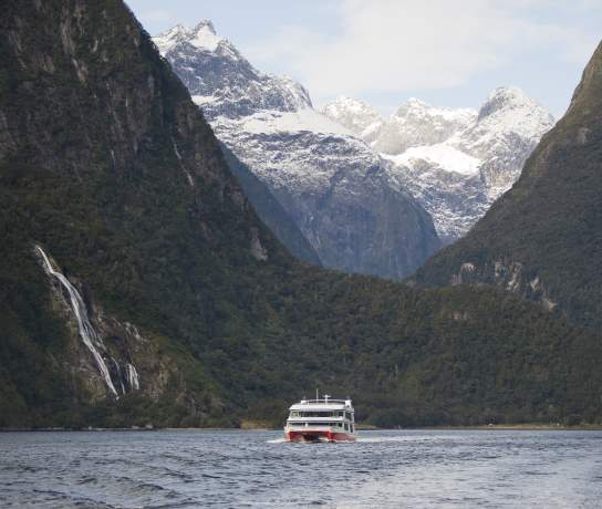 Southern Discoveries Cruise in Milford Sound
