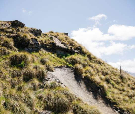 Natural Selection Bike Aotearoa course preview on Mt Dewar