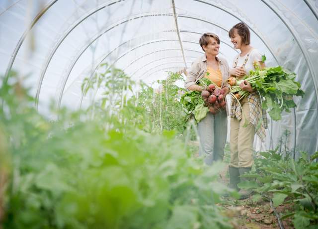 Two women stand in a greenhouse with fresh vegetables in their arms at Red Acre Farm CSA in Cedar City, Utah