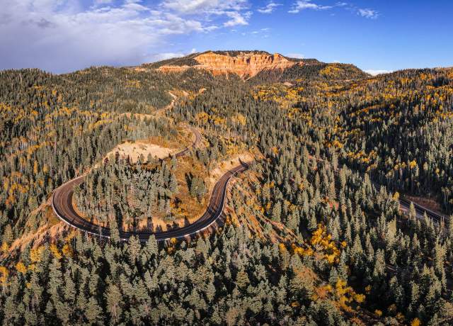 Aerial views of the "False Breaks" in Cedar Canyon with fall color blended with towering pine trees along the scenic drive