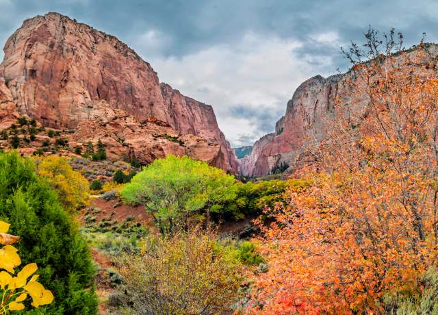 Vibrant fall trees beneath towering red cliffs in Kolob Canyons near Cedar City