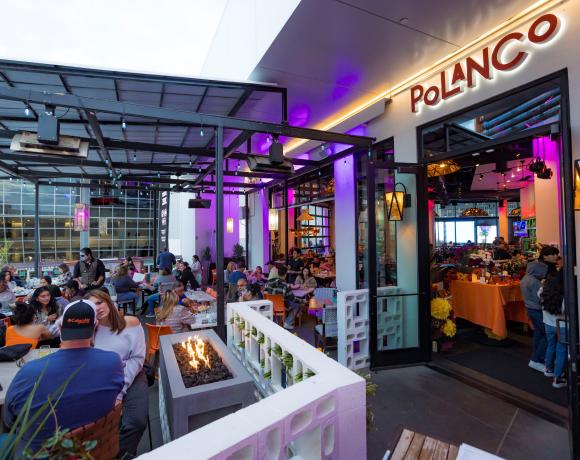 Polanco Cantina