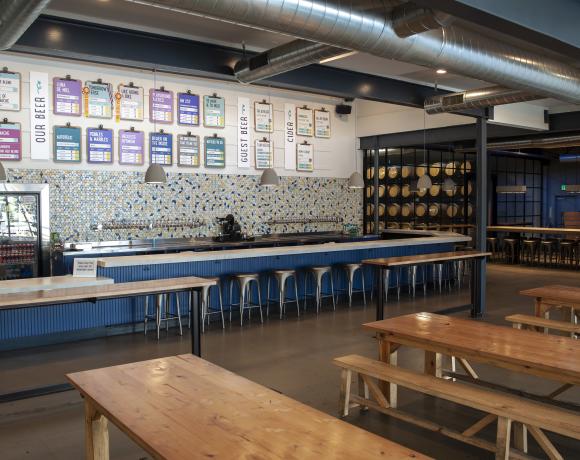 Urban Roots Interior