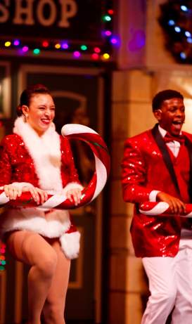 Branson's Christmas Wonderland