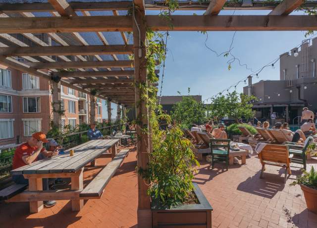 Alto - Ace Hotel
