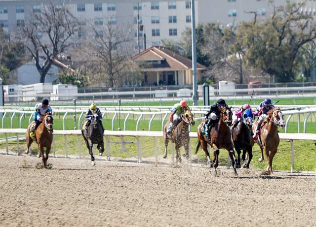 New Orleans Fairgrounds