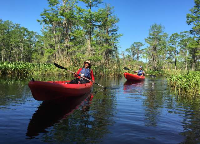 A New Orleans Kayak Swamp Tour
