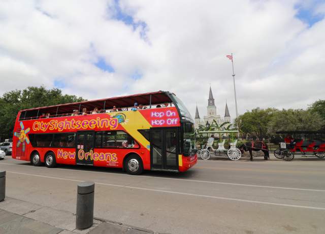 Hop-On Hop-Off City Sightseeing