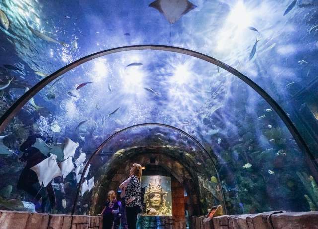 Audubon Aquarium of the Americas