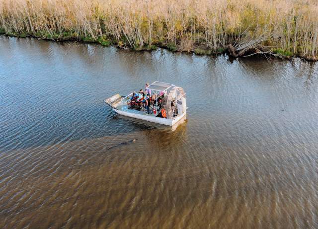 Swamp Tour
