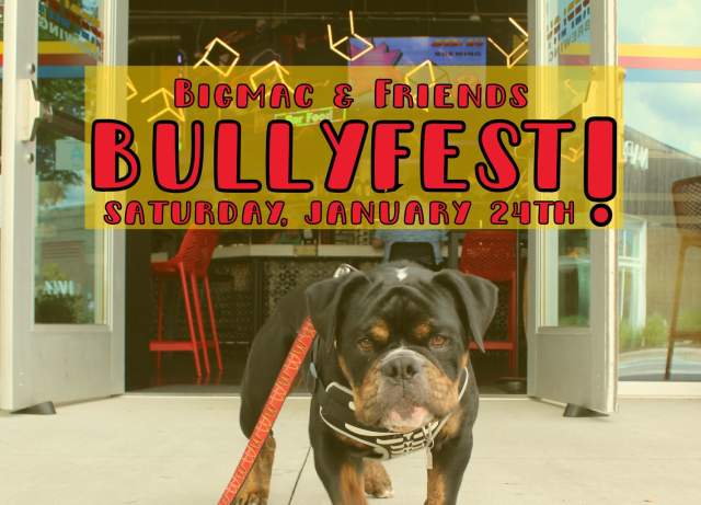 BIgmac & Friends BUllyfest!