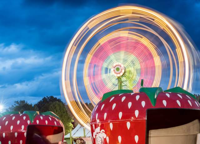 2026 South Carolina Strawberry Festival