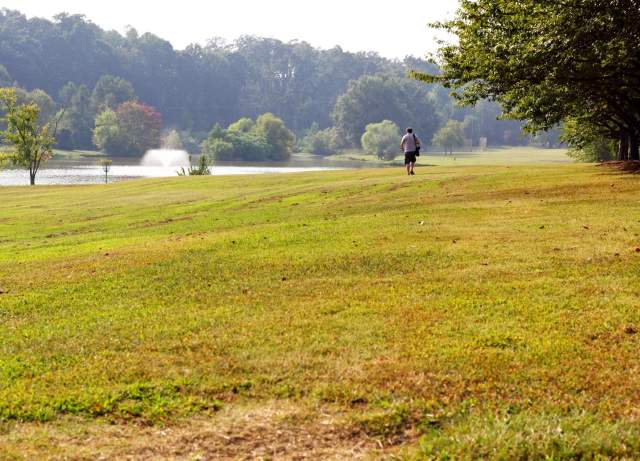 Come-See-Me: Disc Golf Open