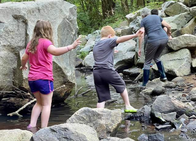 Spring Break Gone Wild Life: Layers of Nature