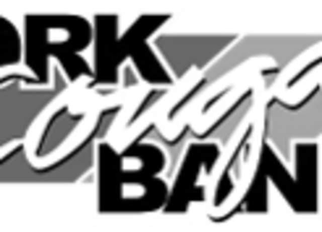 50th Annual York Cougar Bands All-You-Can-Eat Shrimp Fry and Bake Sale