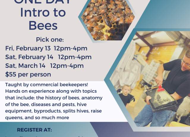 4 hour Intro to Bees