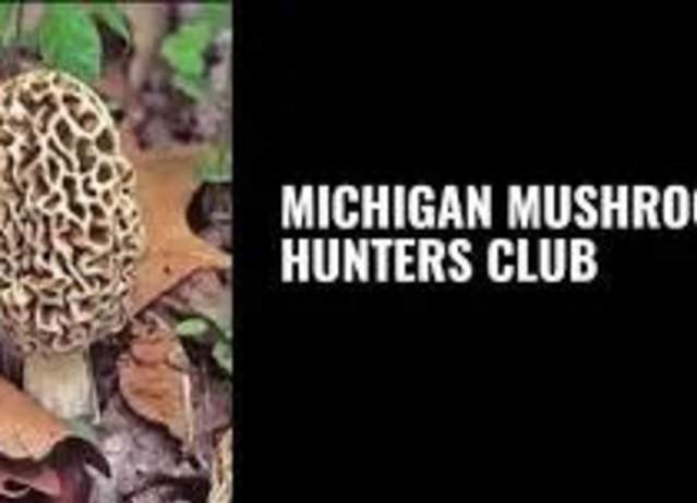 Morel Hunting in Michigan – Catch and Cook (Milan Public Library)