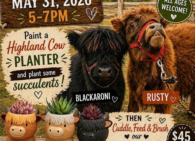 Paint & Plant Suc-cow-lent