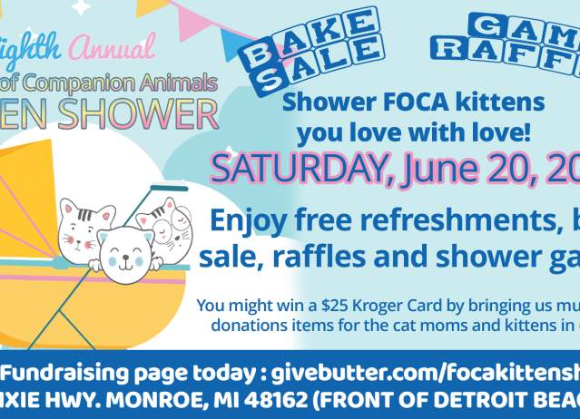 FOCA 8th Kitten Shower
