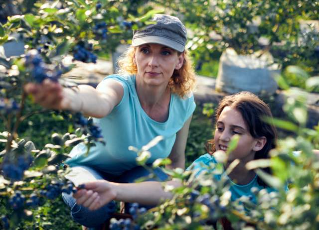 24 Hours in Westover