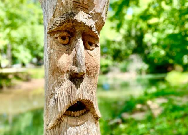 24 hours in Montevallo