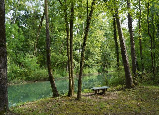 Buck Creek Park Alabaster
