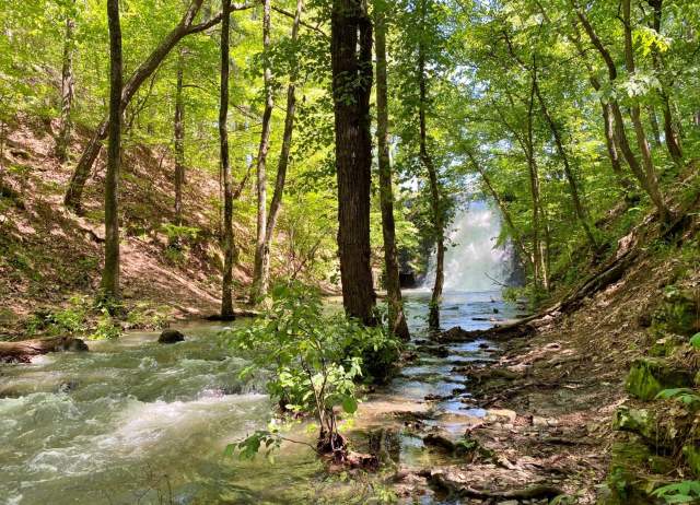 Park River Creek Fall