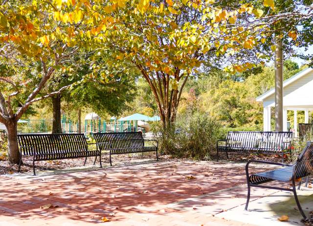 Four park benches around a brick square with trees with fall colored leaves