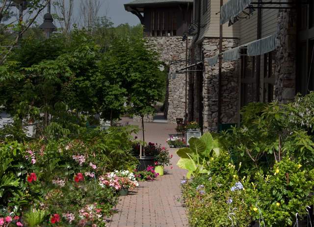 Mt Laurel birmingham