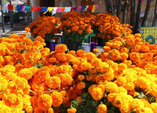 Dia de los Muertos at Esperanza Peace and Justice Center