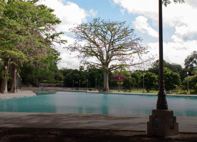 Park with trees and swimming pool