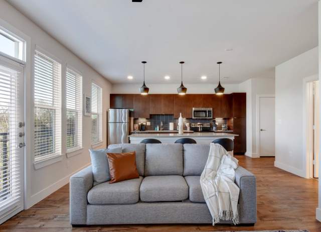 Living room with gray sofa