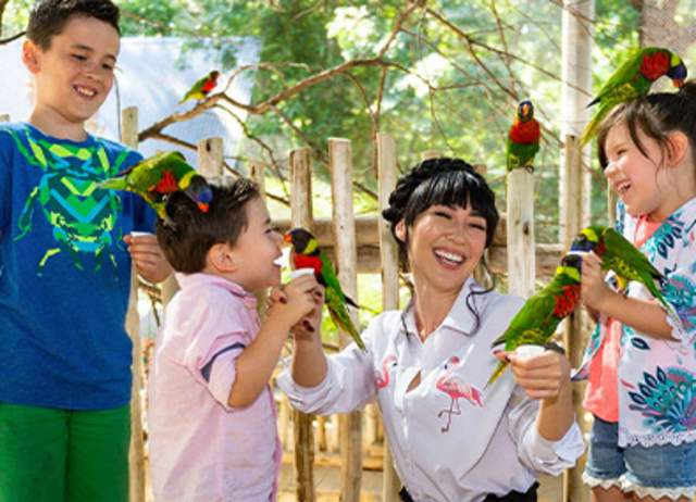 san-antonio-zoo-parrots