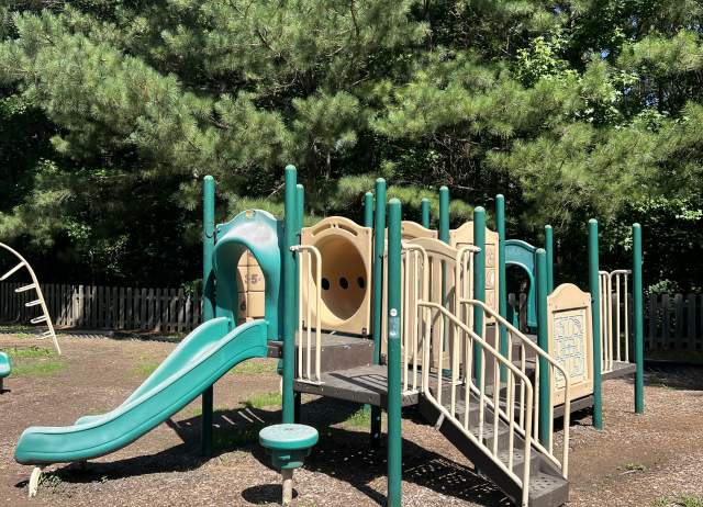 Chelsea Recreational Park