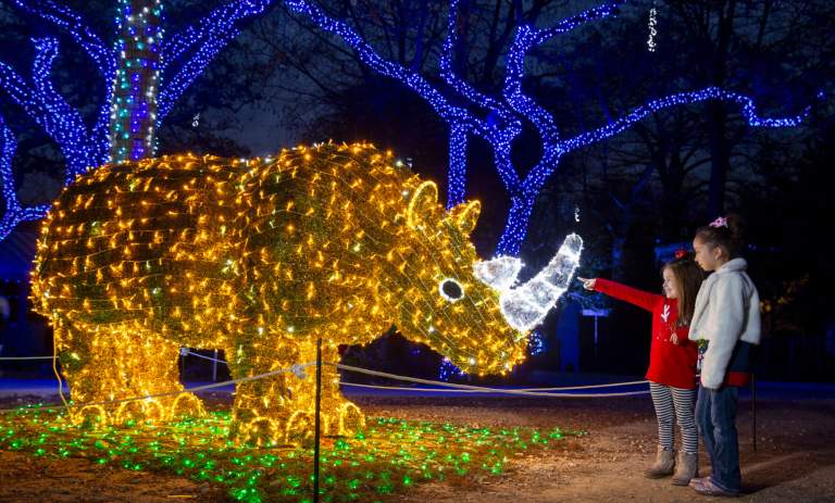 Your Ultimate San Antonio Holiday Checklist Has Arrived